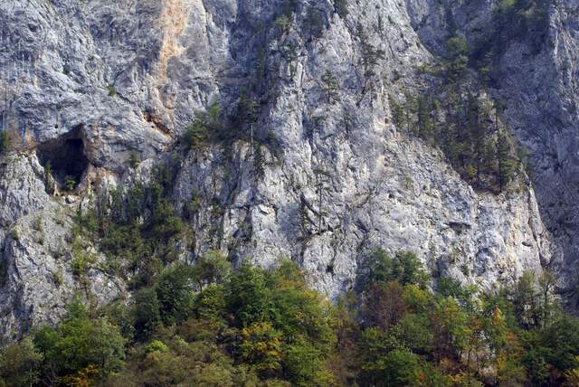 重庆的黑峡谷，全长十三公里，长在悬崖边上的植物，还能俯瞰峡谷