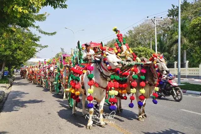 缅甸街头偶遇民族风情，其实磅礴牛车巡游，充满喜庆