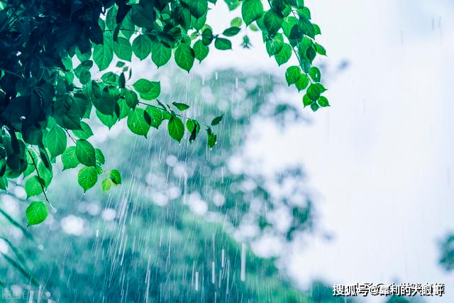 李商隐一首经典的咏雨诗,通篇每一句都在写雨,但是不着一个雨字