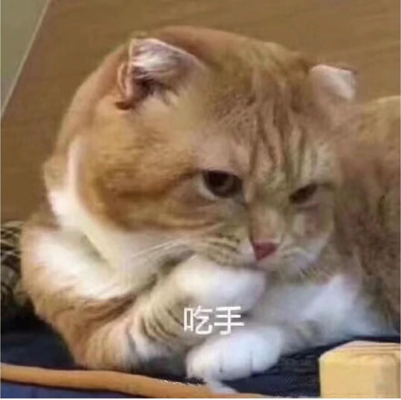 2天康复在俄中国医生确诊后超强自救补剂香料精油