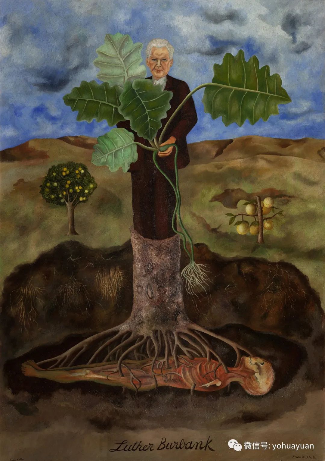 油画大师——弗里达·卡罗作品欣赏(48张高清图)_kahlo_frida_弗里达