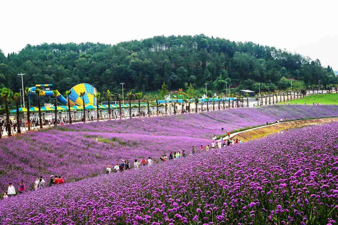 内部爆料:射洪【螺湖半岛】买了房有没有后悔的?