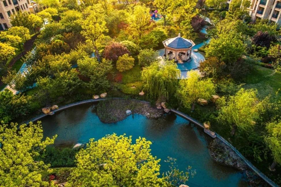 青岛星河湾丨质感于心品牌凝聚产品力塑城市品质人居