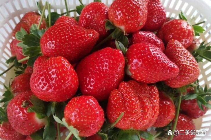 原创打了激素的草莓怎么辨别老果农教你3点一看就能看出来
