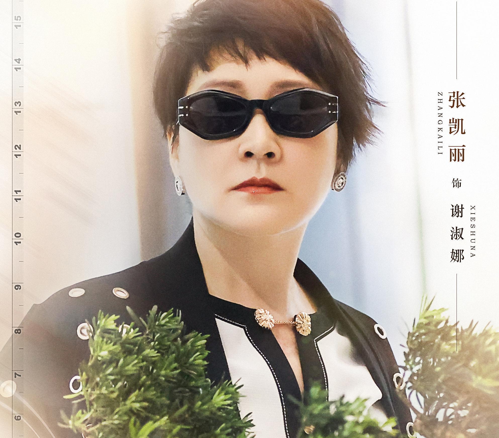 人世间后张凯丽又一新剧定档央视阵容依旧不俗有望再出佳作