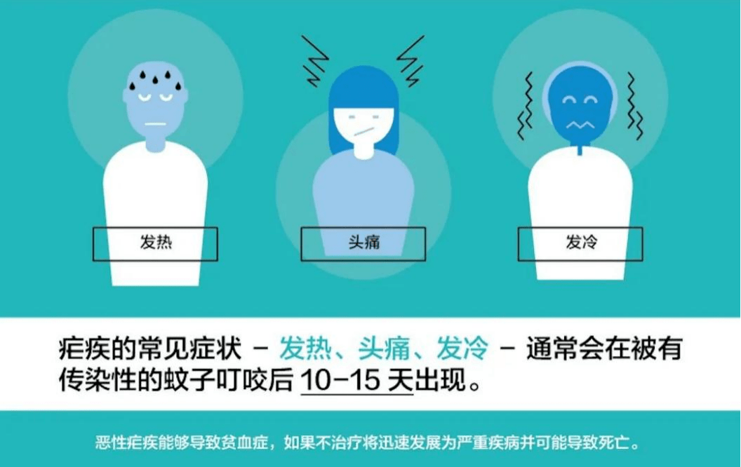 全国疟疾日—防止疟疾输入再传播 共创无疟世界_症状_疟原虫_恶性疟