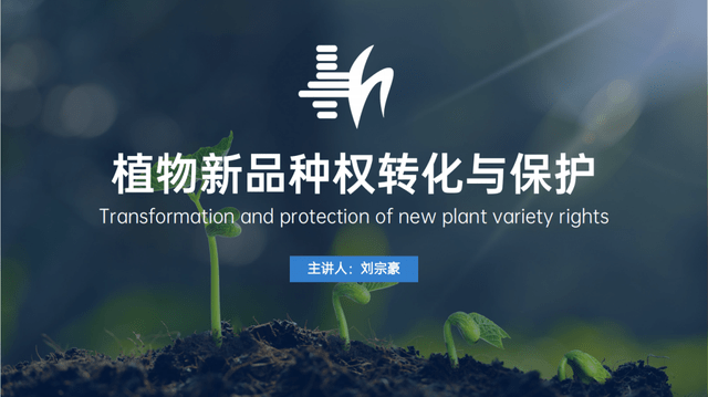 和纳创始人刘宗豪打好种业翻身仗加强植物新品种领域知识产权保护