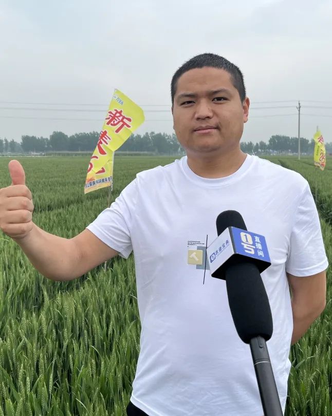 多地走访优质高产又增收新麦26新麦35屡获好评圈粉无数