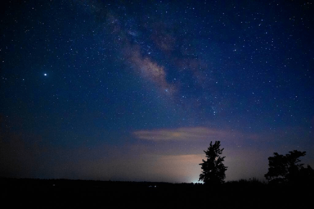 春末賞月正當時丨此生此夜不長好明月明年何處看