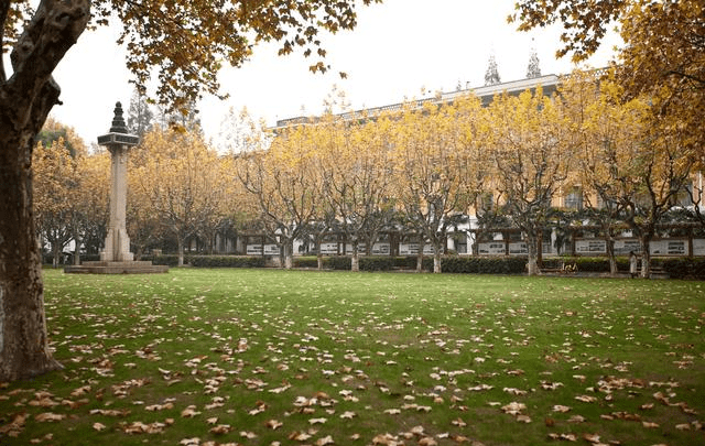 城鄉規劃專業上清華大學,同濟大學,東南大學居前三;風景園林專業排序