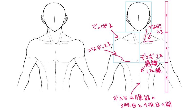 教你人體軀幹輪廓畫法!_肌肉_男性_身體