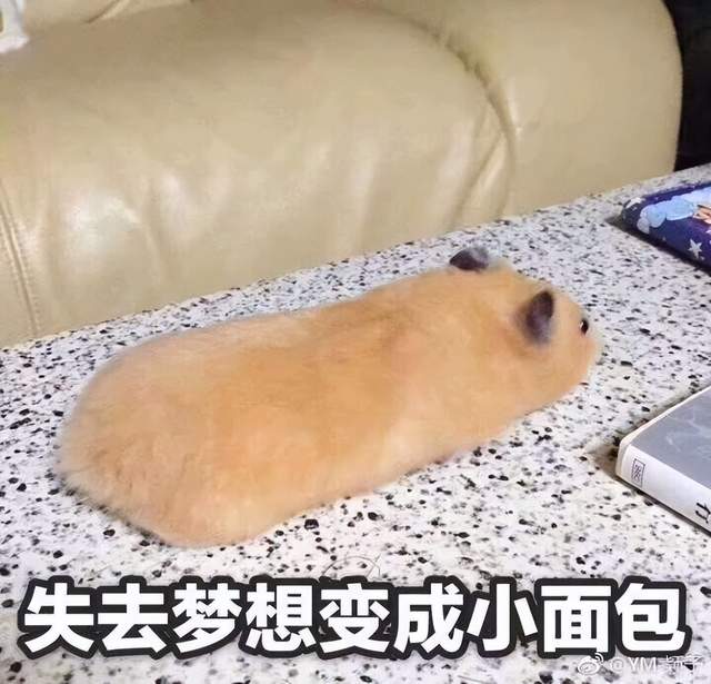 就让小编来做个过路活雷锋,给大家充当这样一个动力源.