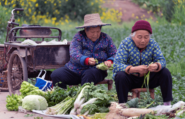 同情路边「卖菜的老人」