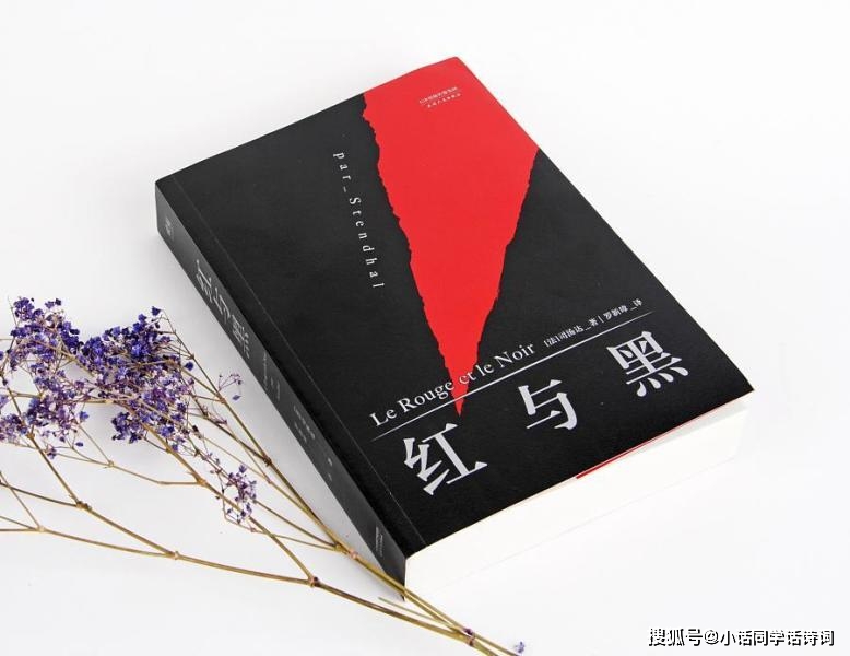 《红与黑》:于连的“红”与“黑”,一段草根逆袭的故事,两段爱恨交织的情感_贵族_阶层_雷纳