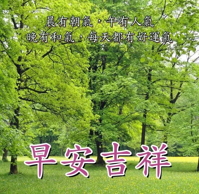 原创8张免打字问候大家早上好的漂亮鲜花图片夏日早上好温馨祝福图片