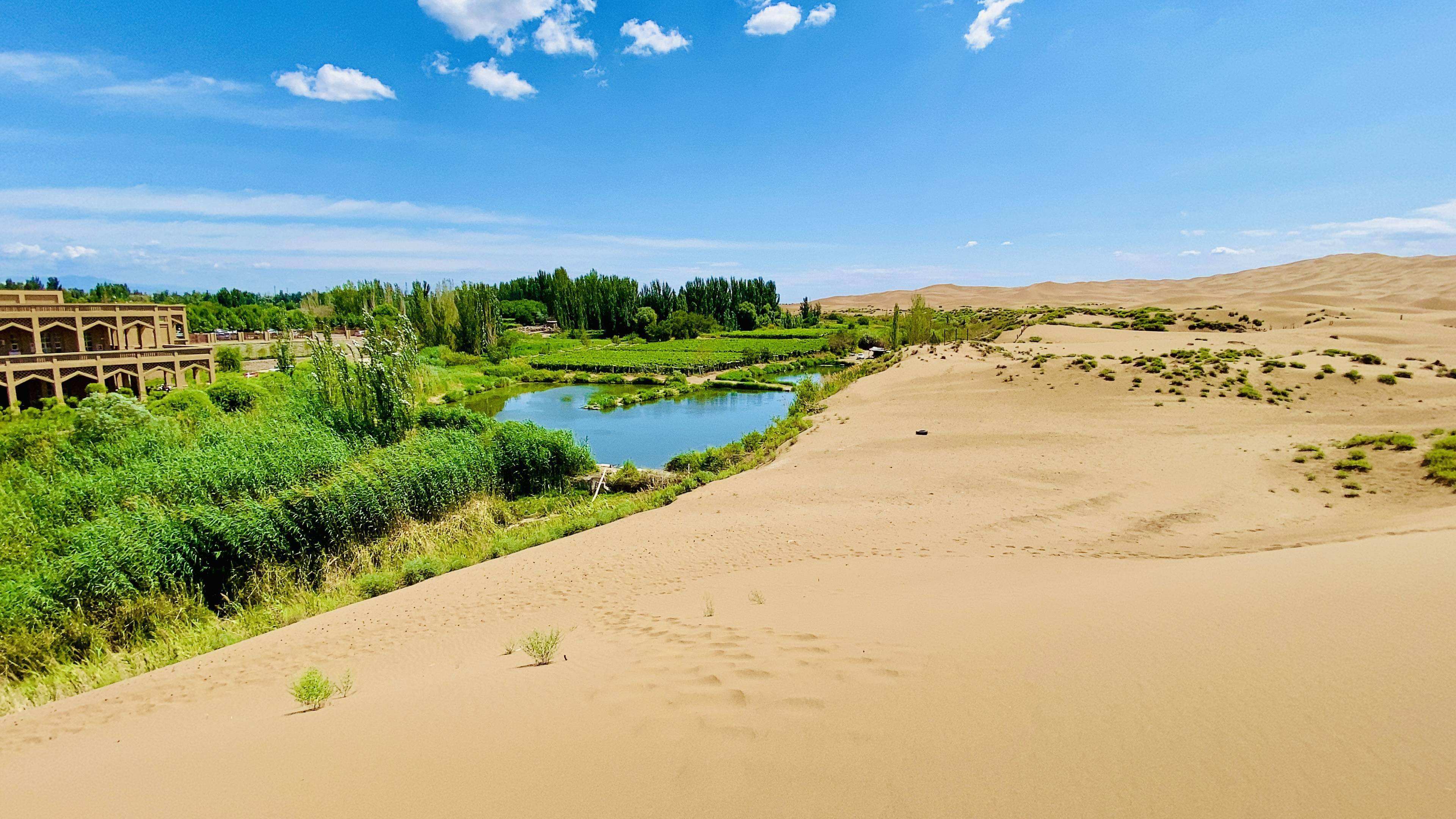 原创沙漠养鱼创上亿产值冰川水引入沙漠千年荒漠重生成聚宝盆