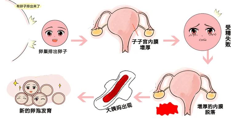 因此一般情況下非月經期陰道是不會出血的.