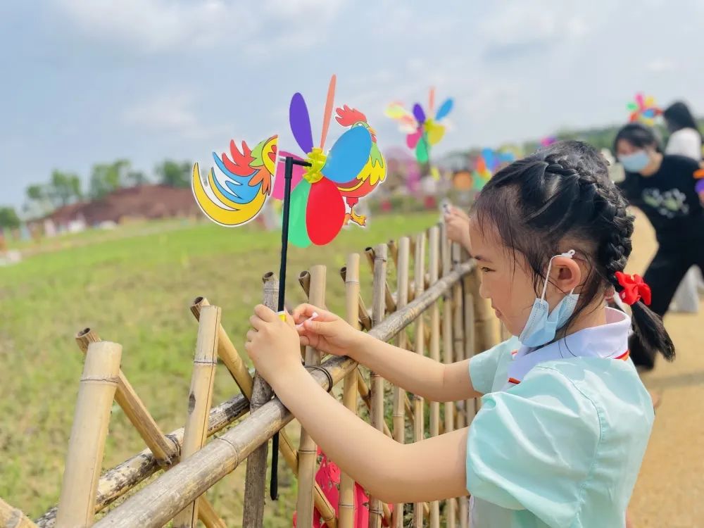 种苗,填土,浇水……像一只只勤劳的小蜜蜂,忙碌地穿梭在田间地头