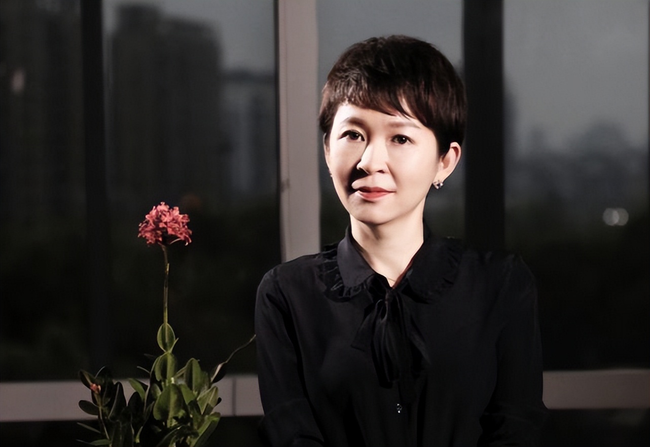 蒋凡"后院起火"的撕扯,更能衬出埋头苦干的戴珊是多么优雅_阿里_淘宝