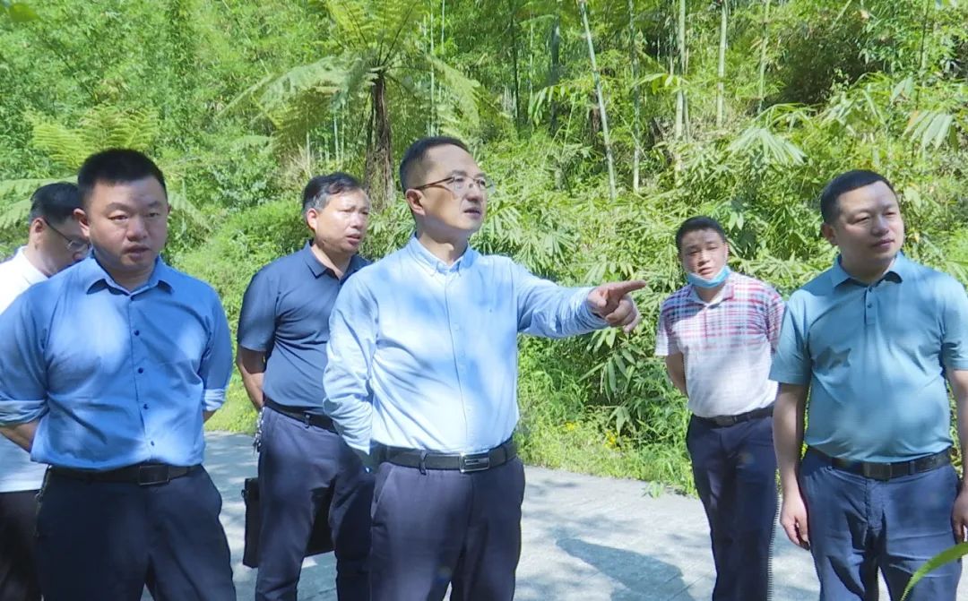 赤水市委书记汪能科到长期镇调研