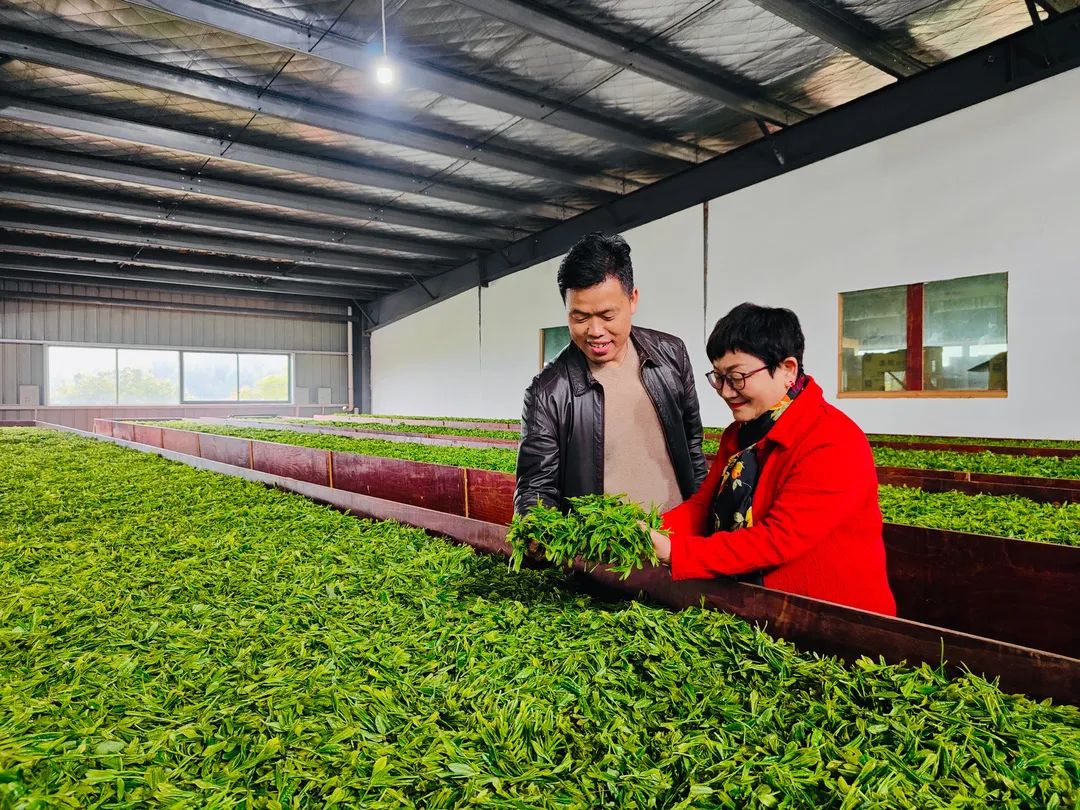 邓萍满载政协情为民干实事