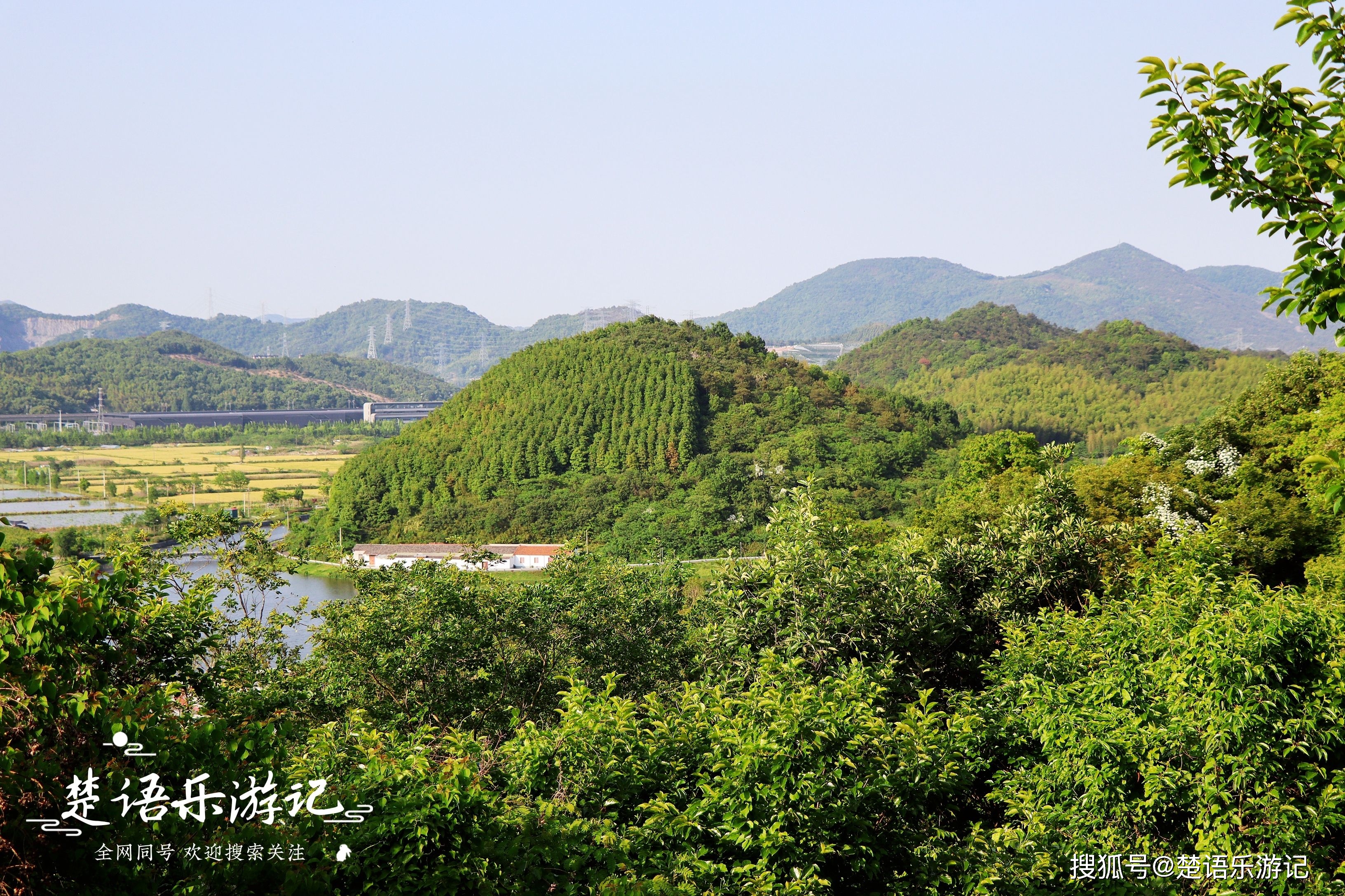 宁波这座山开满小雏菊,因风景太美成为网红打卡胜地,真的太美了