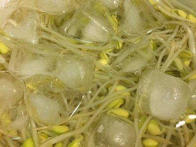 宅在家中吃美食日式胡麻香油黄豆芽七味黄瓜凉拌菜