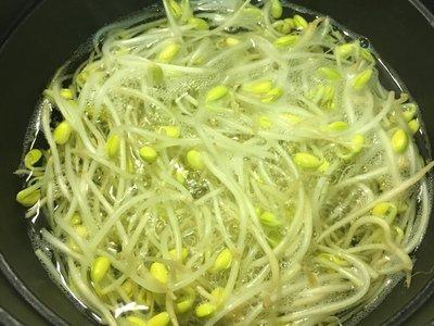 宅在家中吃美食日式胡麻香油黄豆芽七味黄瓜凉拌菜