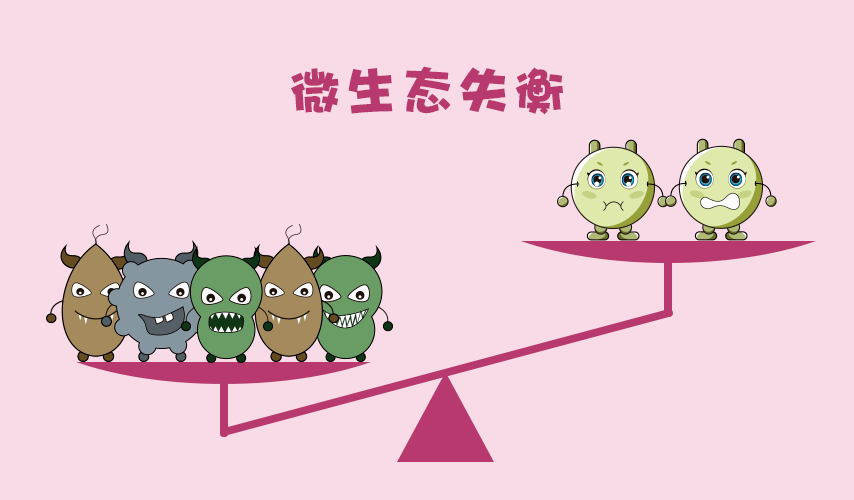 阴道_老年性_乳酸菌