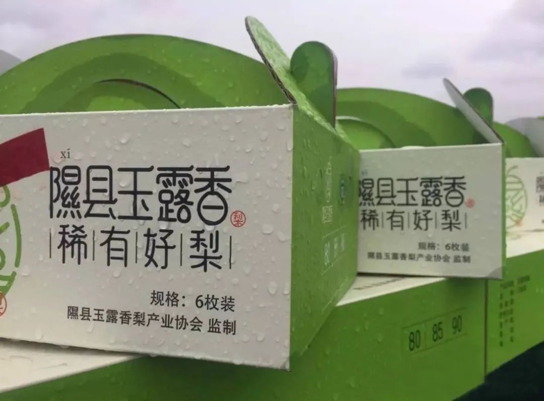 隰县玉露香梨:"走对路"就是"走快路"