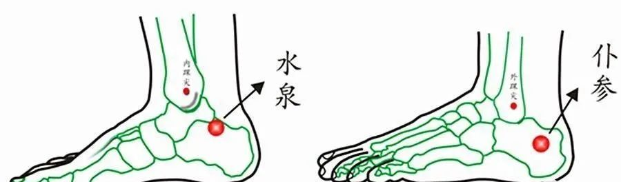 2,疝气:水泉,仆参同压再加大敦穴治疝气也算是法简效宏.