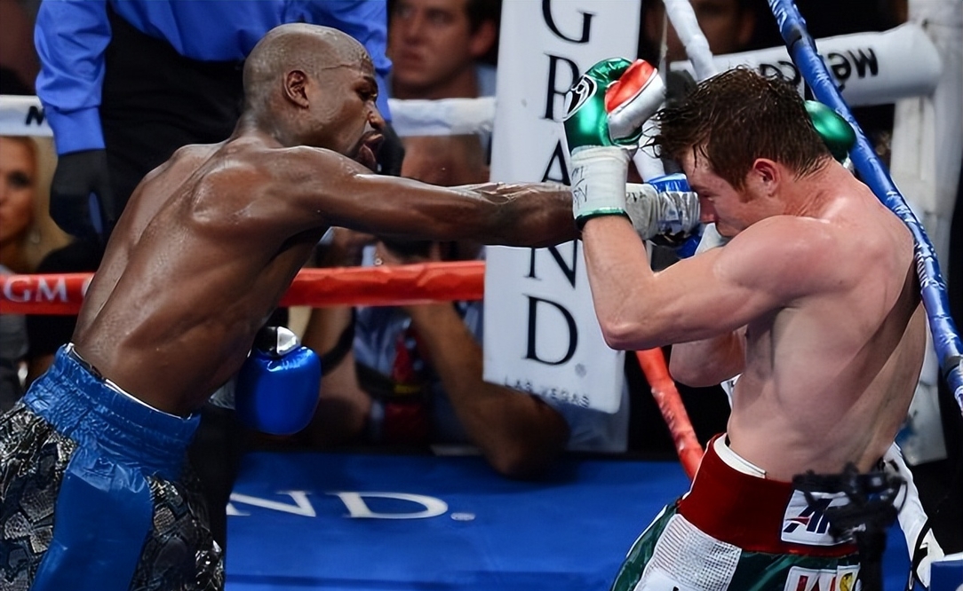 原创拳王阿瓦雷兹又被羞辱梅威瑟押阿瓦雷兹落败狂赚425万美元