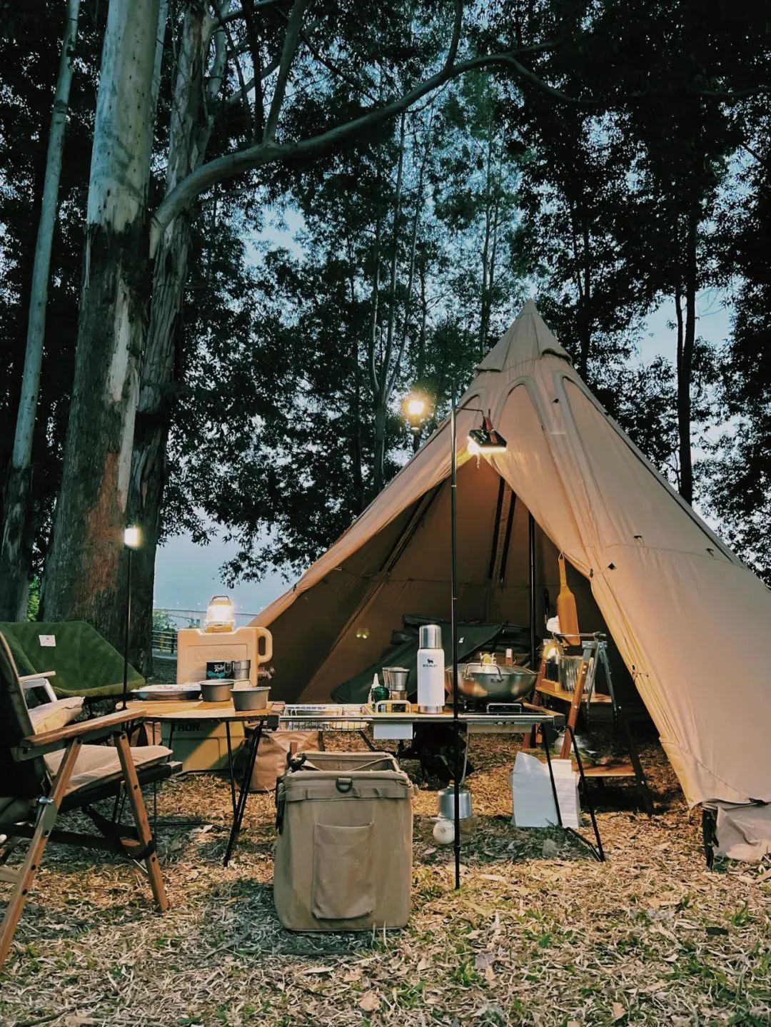 来一场精致露营让有趣的灵魂肆意放纵