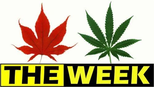 太过分!有娃的都来看看,给娃买衣服别踩雷_衣物_图案_毒品