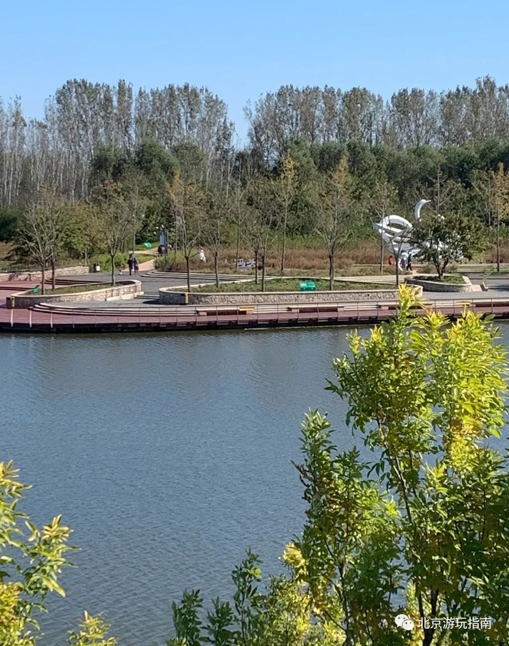 東郊森林公園面積夠大,相當於6個大運河森林公園的大小,森林是園中的