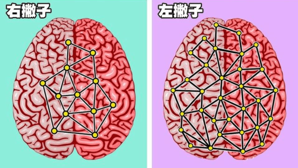 原创代表90的右撇子问出一个问题左撇子你真的比我们更聪明吗