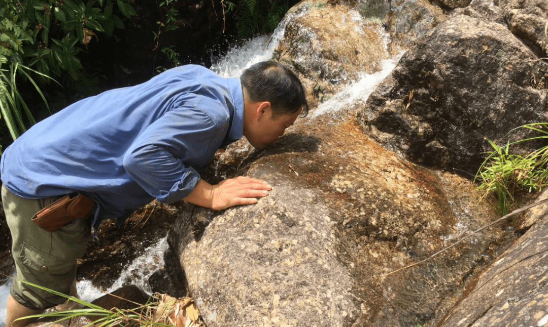 還有溫泉和熱泉,與我國大部分硫磺地熱泉不同,哈倫阿爾山為火山礦泉