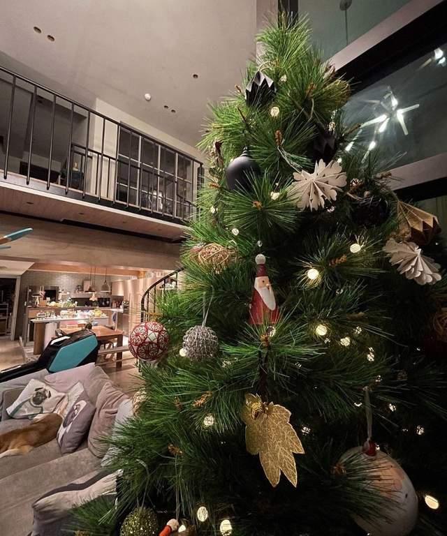 she成员ella过亿豪宅曝光家中装2米高圣诞树餐桌可坐十余人