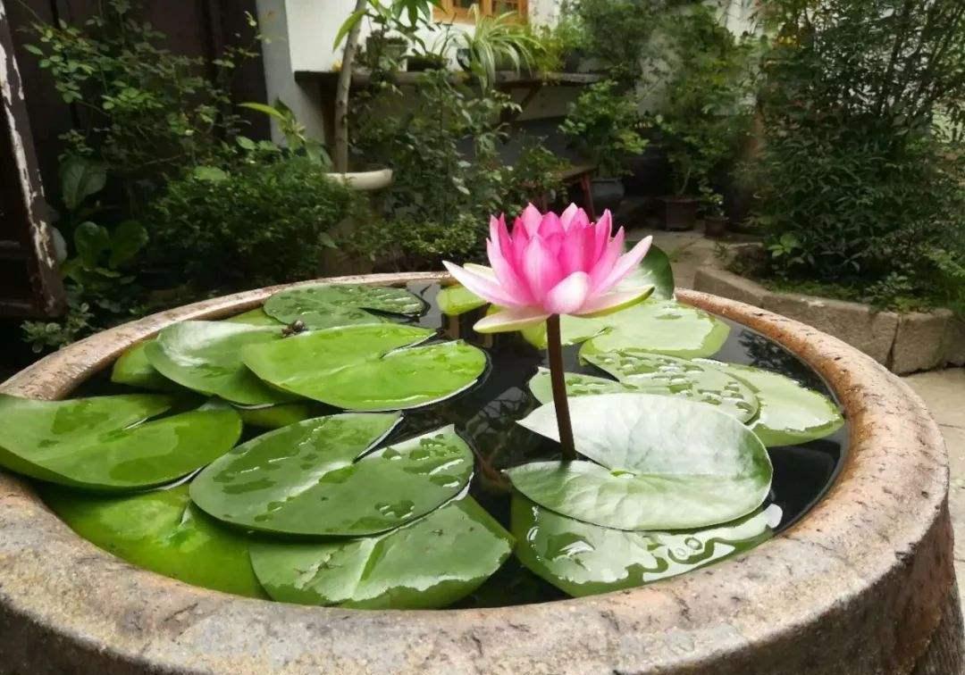 Mhpiafhm2a S8m Mhpiafhm2a S8m