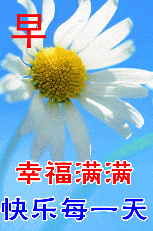 原创最新漂亮早上好问候动态图带字最美早安问候祝福语图片带字温馨