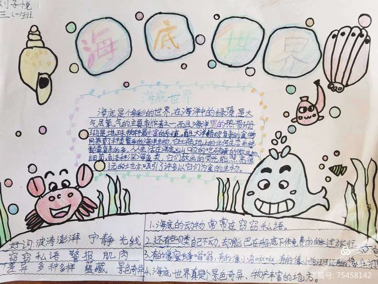 濮阳市油田第十中学三年级一班创新作业海洋世界大探秘