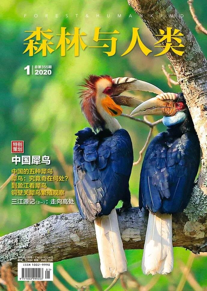 中国这5种犀鸟，藏在深山人未知_搜狐网