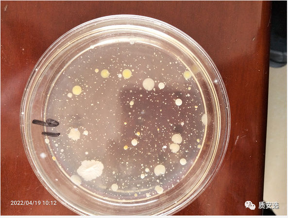 从"手机表面微生物测试结果"来看手机管理_员工_菌落_生产