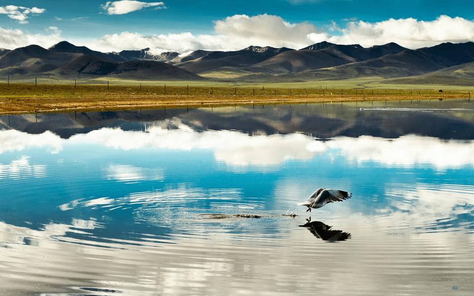 西藏纯净的“圣地”，不仅有水天一色的美景，更有不可多得的美食