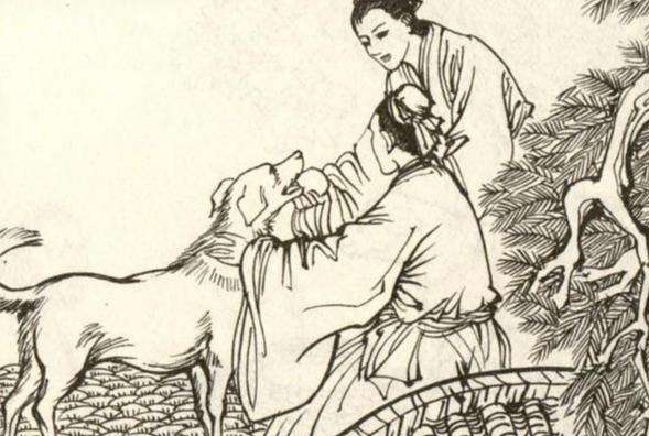 民间故事:女子大婚当天,家中黄狗竟把新郎咬死_陈梦雨_外婆_梦雨道