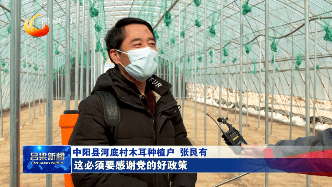 黑木耳排行_种植黑木耳实现高收益