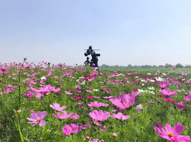 成都3大冷門治癒系公園:一望無際的花海,野生湖泊,草坪露營,人少還