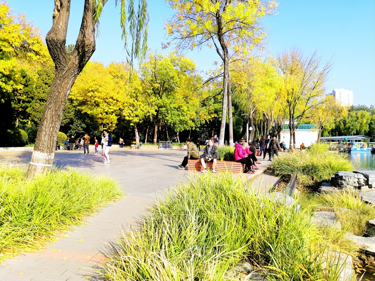北京二环内有座大湖,人称"小西湖",0元门票