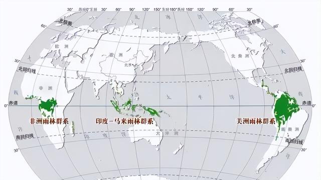 而网纹蟒主要分布于东南亚的热带雨林,林地,草地及泥沼环境中,在我国