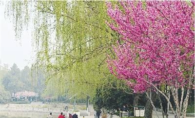 郑州耗资3.2亿的公园，是遛娃的好地方，门票0元颇受好评
